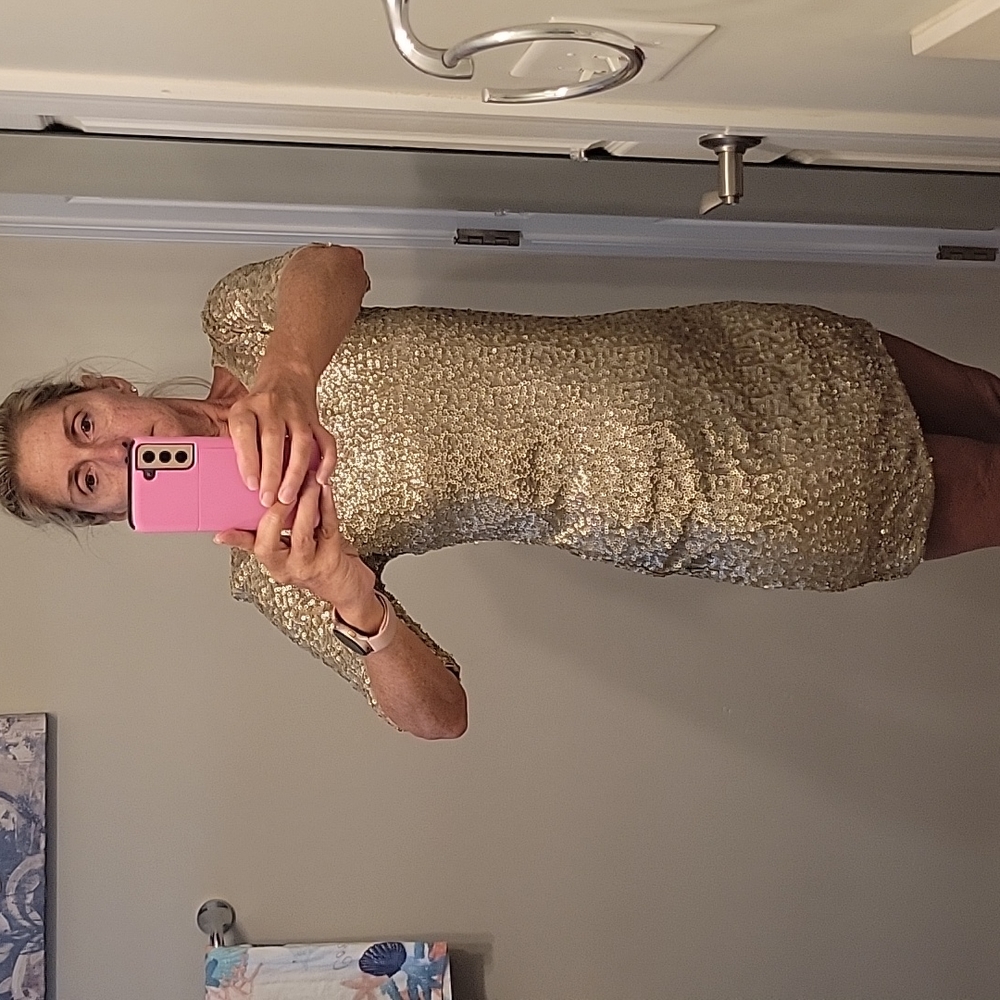 Abercrombie&Fitch sequins lined dress